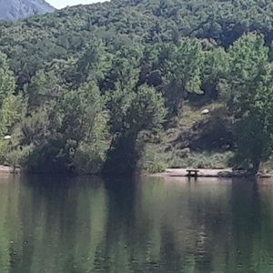 Meet your Posher, Ava